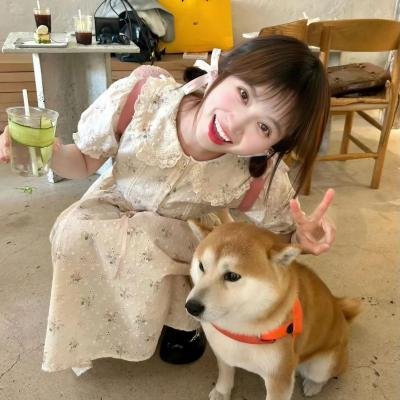 富江4:重生